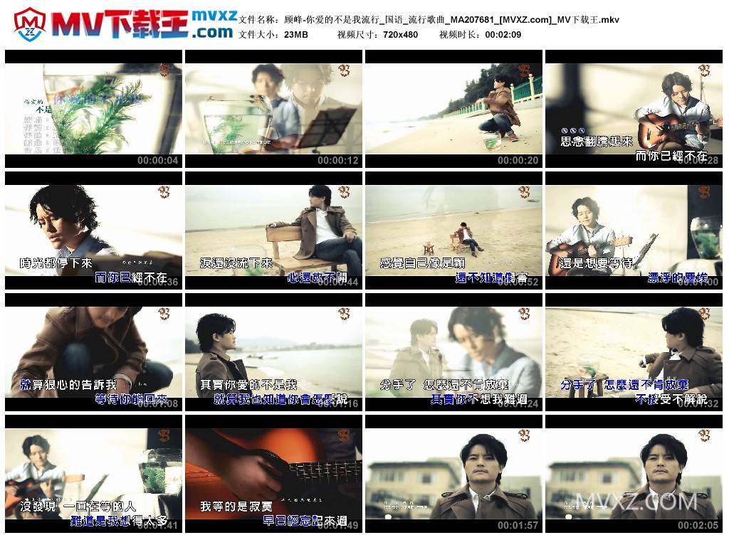 顾峰-你爱的不是我流行_国语_流行歌曲_MA207681